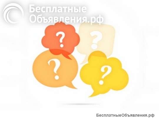 Поиск любой информации