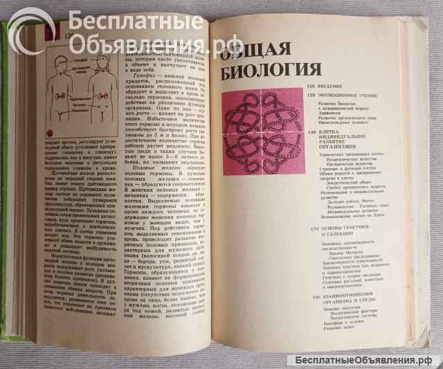 Биология. Справочные материалы. Трайтак, 1983 год
