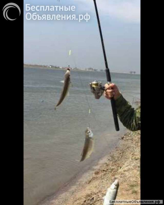 Поводки на четыре крючка на удочку закидушку резинку