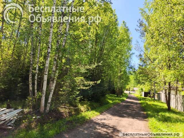 14 га под Бизнес