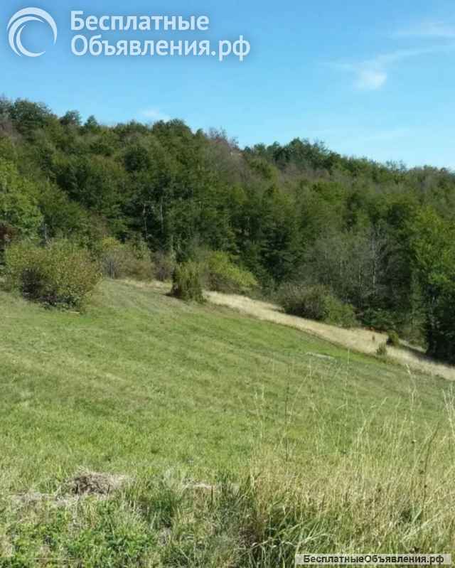 Земля ниже Чиготе-Златибора, Сербия