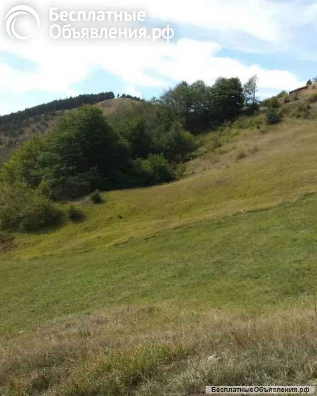 Земля ниже Чиготе-Златибора, Сербия