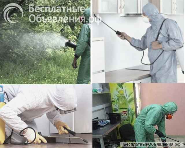 Уничтожение наскомых, дератизационные услуги, борьба с вирусами