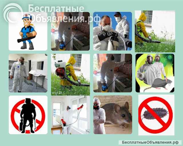 Уничтожение наскомых, дератизационные услуги, борьба с вирусами