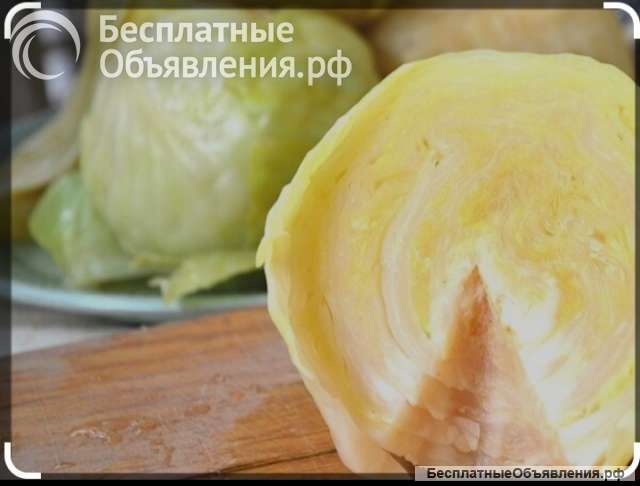 Квашеная капуста