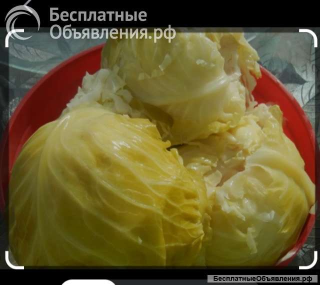 Квашеная капуста