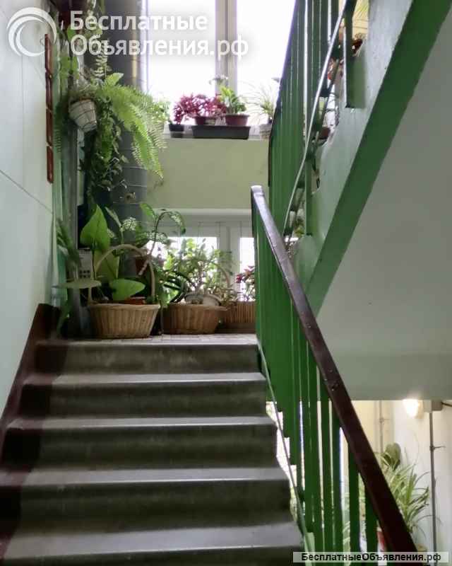 Великолепная однушка для ПМЖ