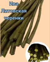 Прутков ивы и черенков сортовой ивы