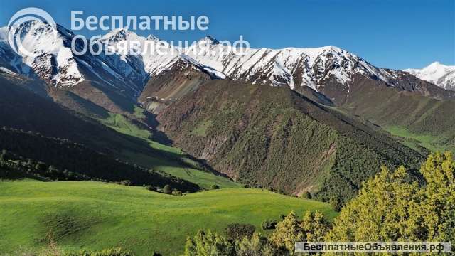 Гражданство Киргизии