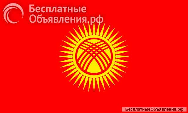 Гражданство Киргизии
