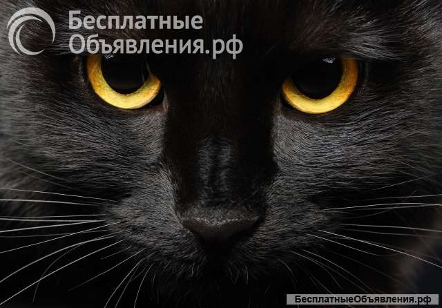 Гадание на картах