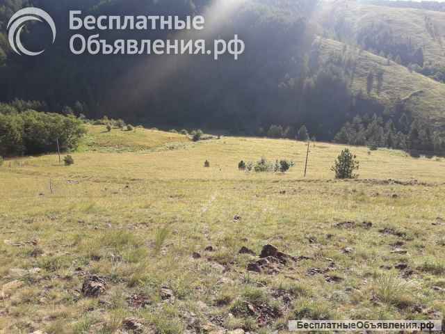 Земля Тометино поље-Дивчибаре, Србија