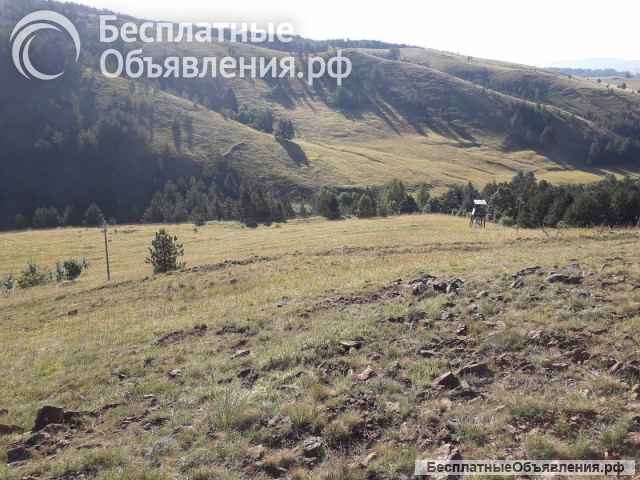 Земля Тометино поље-Дивчибаре, Србија