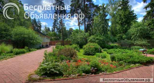 Сдам на длительный срок свой современный экологический дом в лесной зоне ближнего Подмосковья