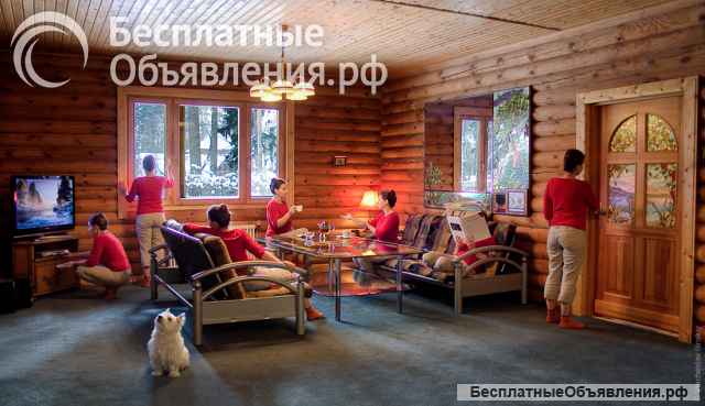 Сдам на длительный срок свой современный экологический дом в лесной зоне ближнего Подмосковья