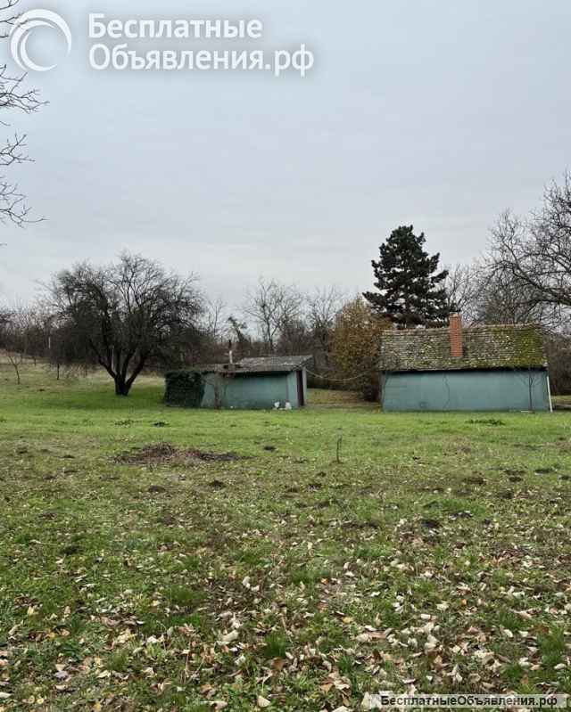 Сербия-Крчедин Продается коттедж с камином и фруктовым садом