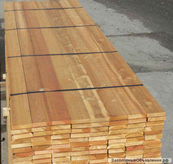 Доска из листвинницы