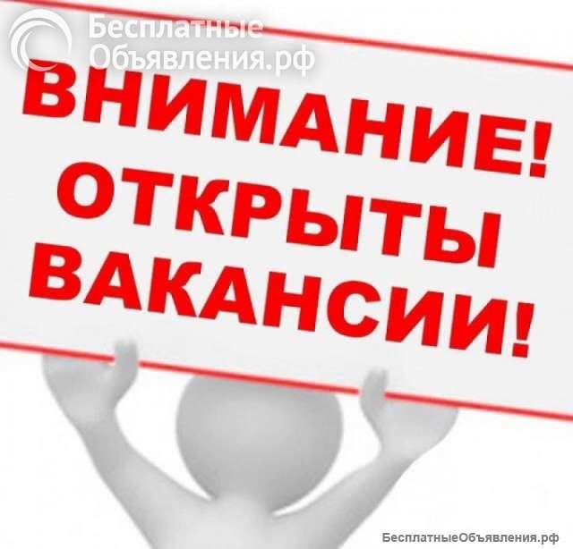 Оператор чата