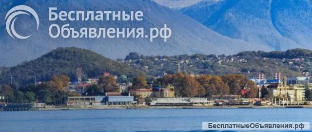 Coral travel горящие туры