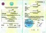 Получить дистанционно, справка о безбрачии, с ЗАГС Узбекистана, справка о несудимости с МВД
