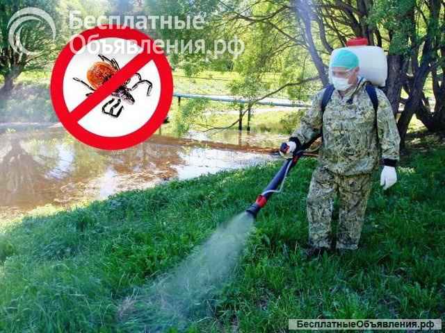 "Дездело": уничтожение вредных насекомых и грызунов в Боровичах