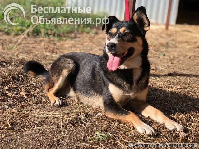 Очаровательная Малышка в дар