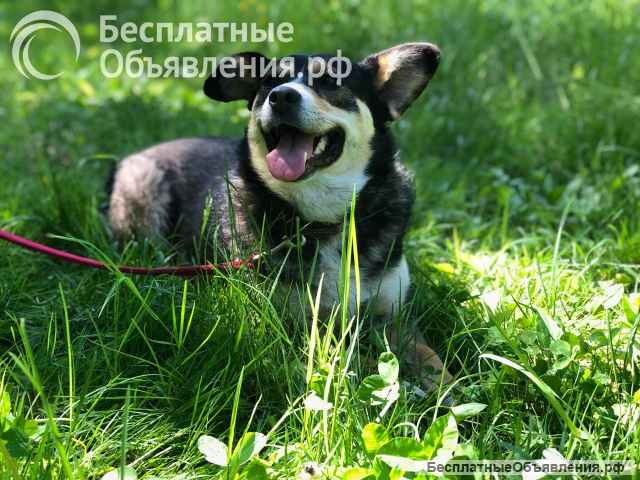 Очаровательная Малышка в дар