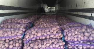 Картофель оптом от проверенного поставщика