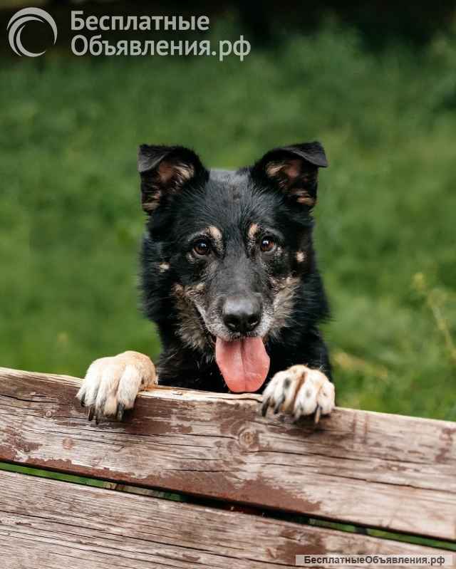 Отличный парень Боно ищет дом