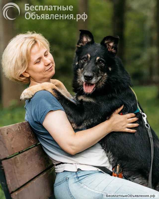 Отличный парень Боно ищет дом