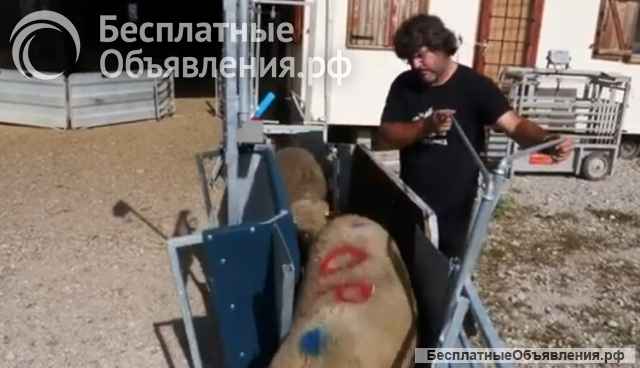 Станок ветеринарный для овец УНИВЕРСАЛ