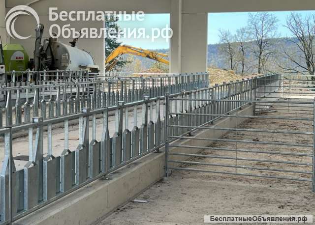 Хедлоки для овец и коз Javier Camara