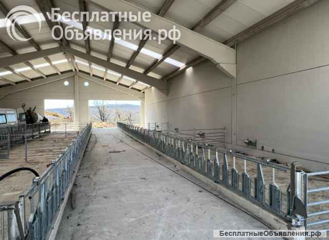 Хедлоки для овец и коз Javier Camara