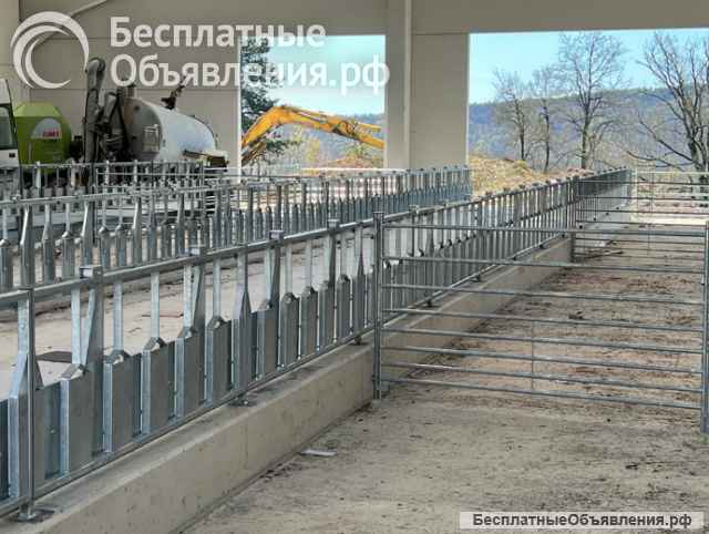 Хедлоки для овец и коз Javier Camara