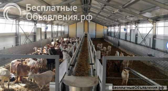 Приглашаем дилера в Крыму