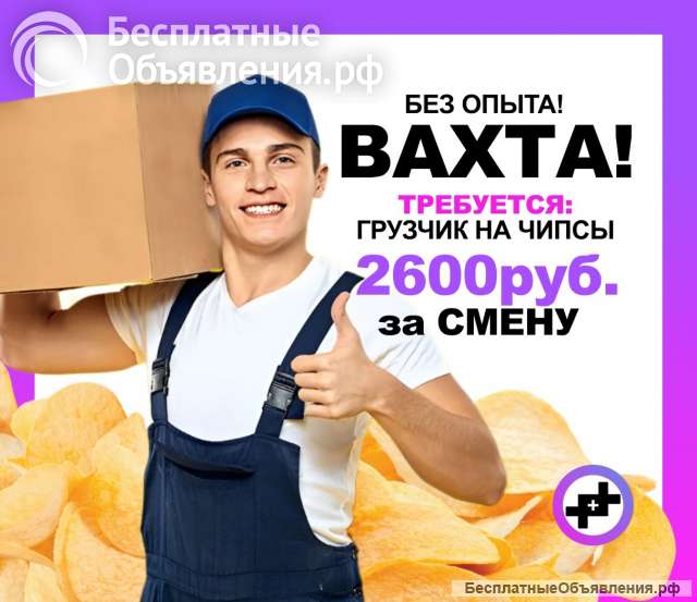 Рабочие по отлову птиц