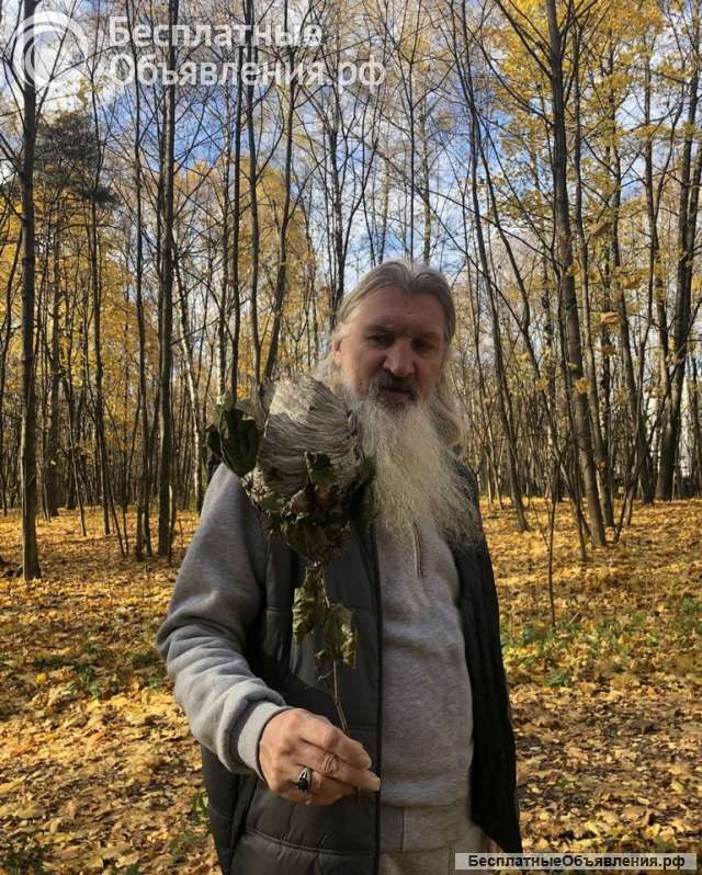 Маг астролог колдун медиум