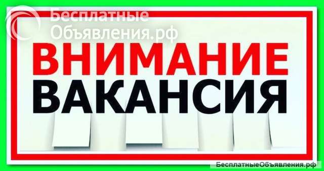 Ищу сотрудников
