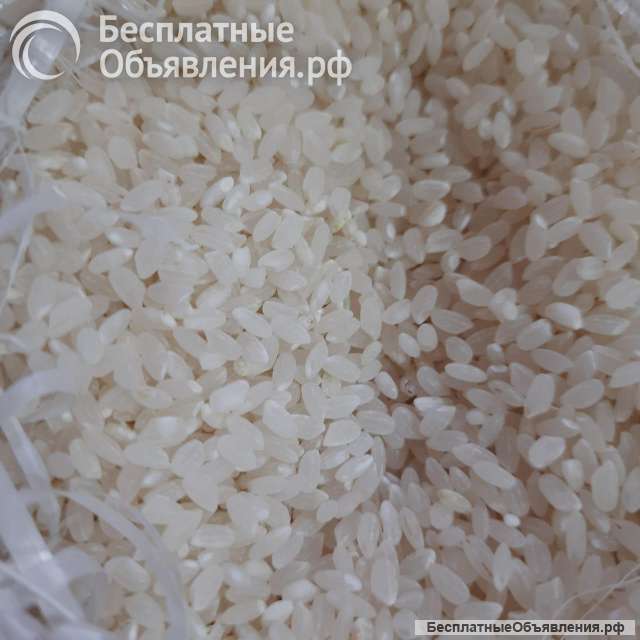 Рис шлифованный