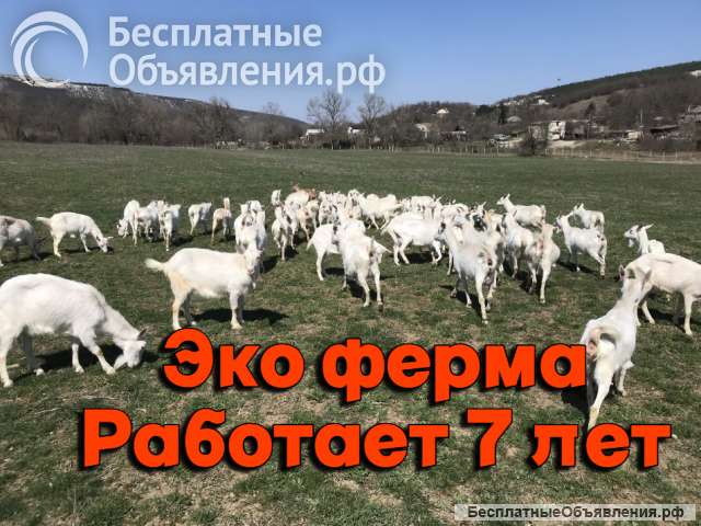Эко Ферма в Крыму
