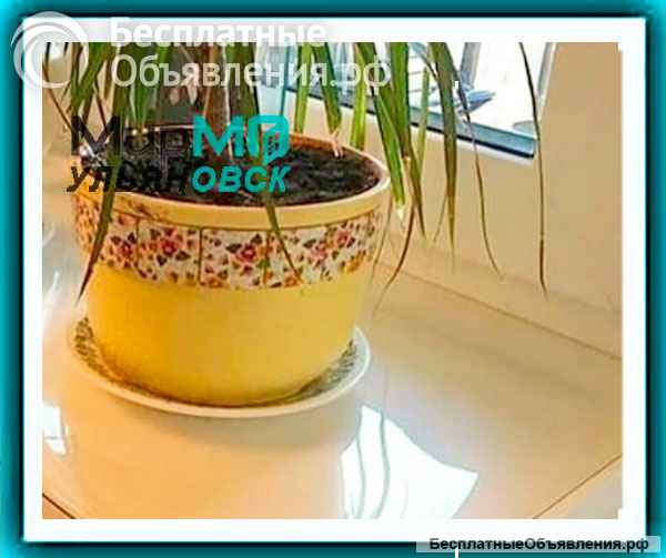 Скатерти и салфетки на стол из пвх в Ульяновске