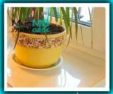 Скатерти и салфетки на стол из пвх в Ульяновске