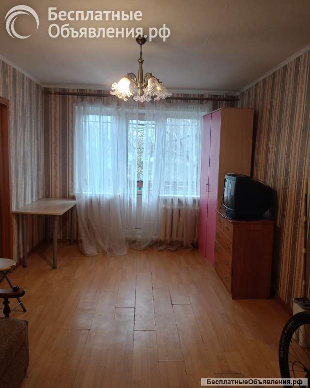 Двушка на Климова с мебелью