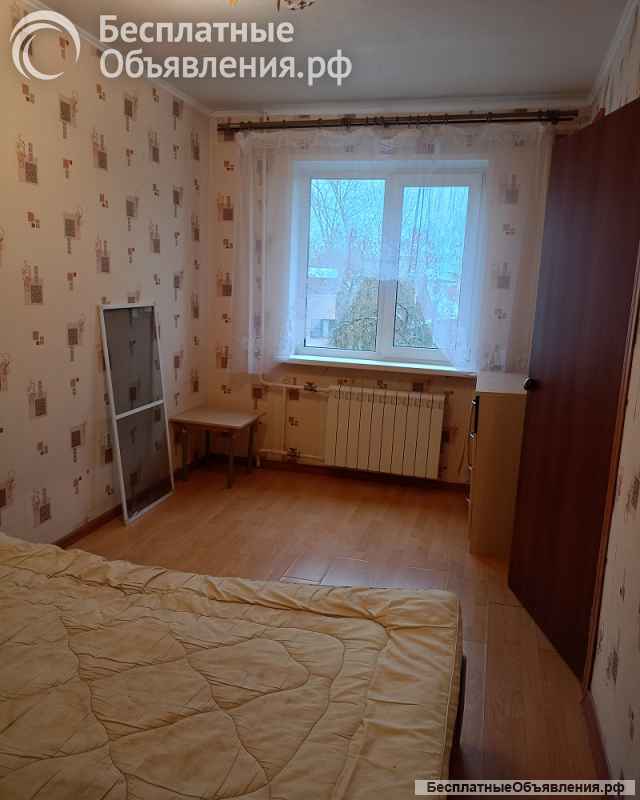 Двушка на Климова с мебелью