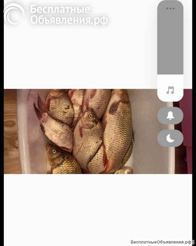 Лодка радиоуправляемые