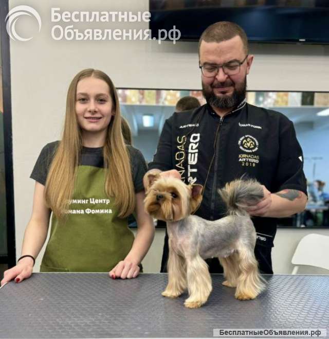 Груминг собак