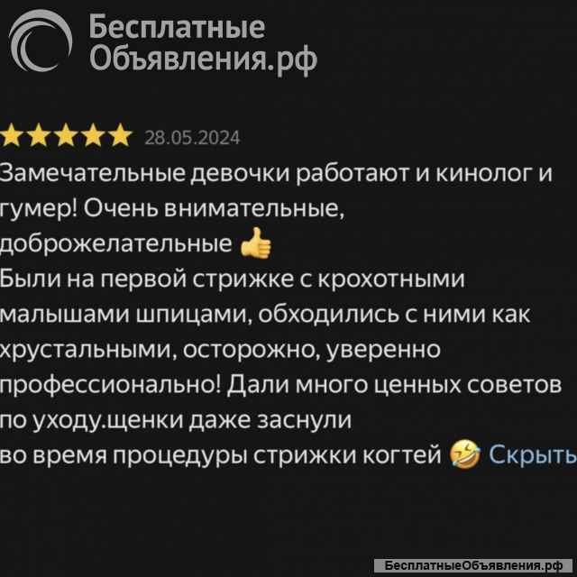 Груминг собак