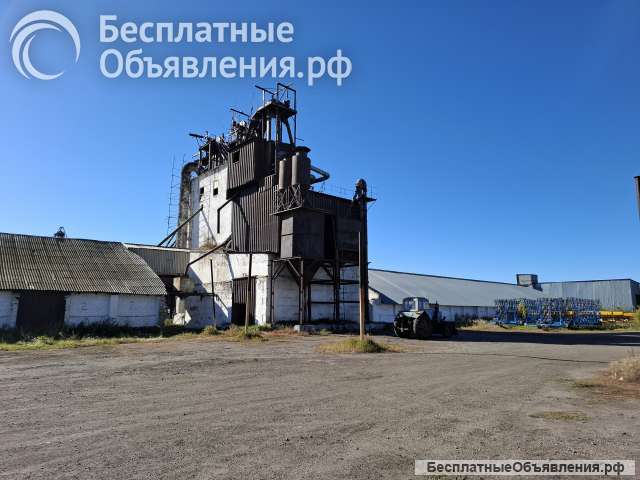 Действующее Сельскохозяйственное предприятие