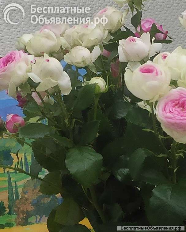 Тренинг про любовь