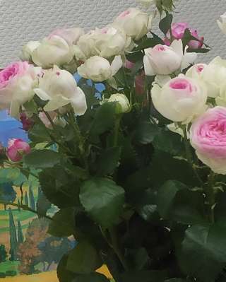 Тренинг про любовь